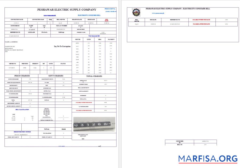 Blank PAKISTAN PESHAWAR ELECTRIC SUPPLY COMPANY business utility bill Word and PDF template
